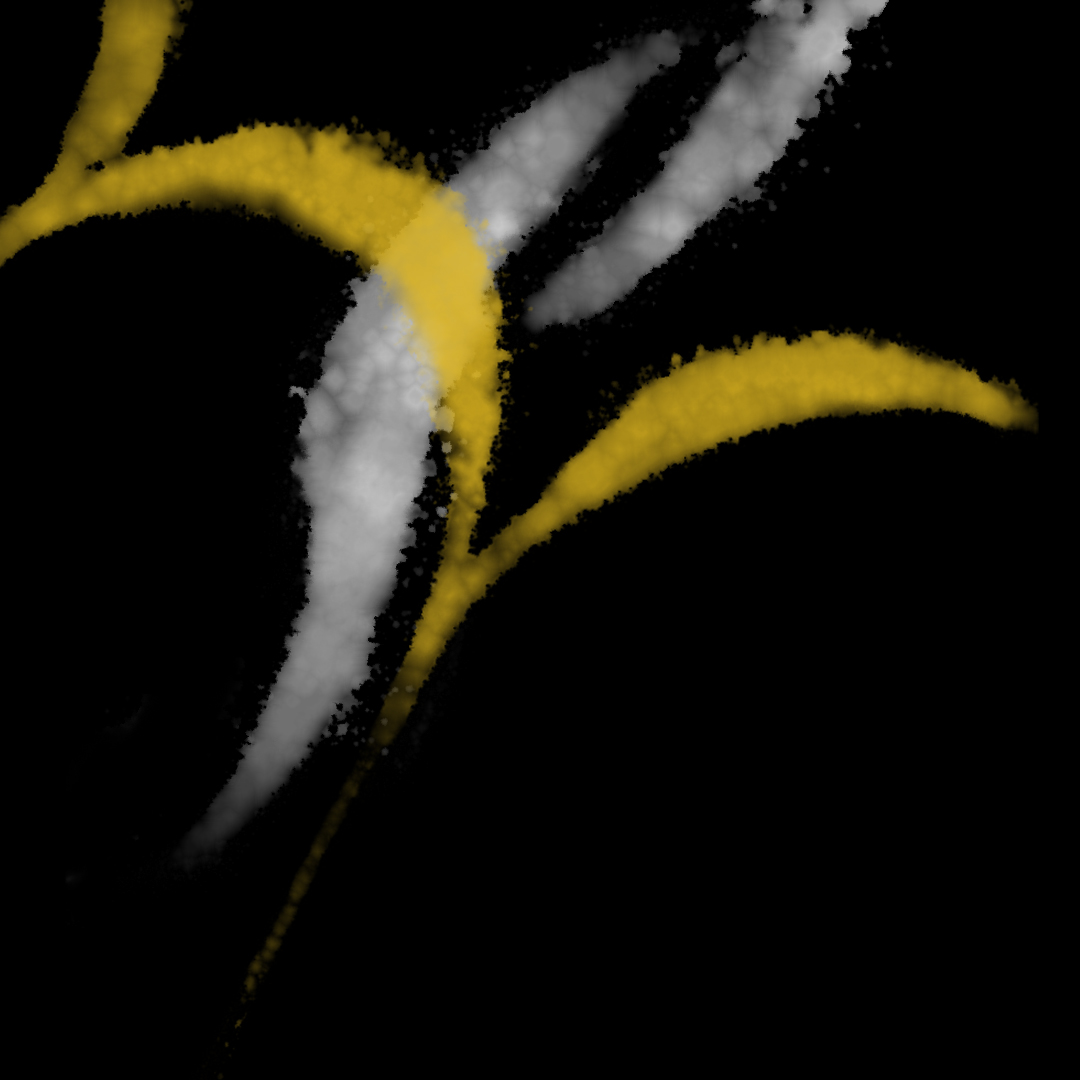 Firman Synesthesia Drawing